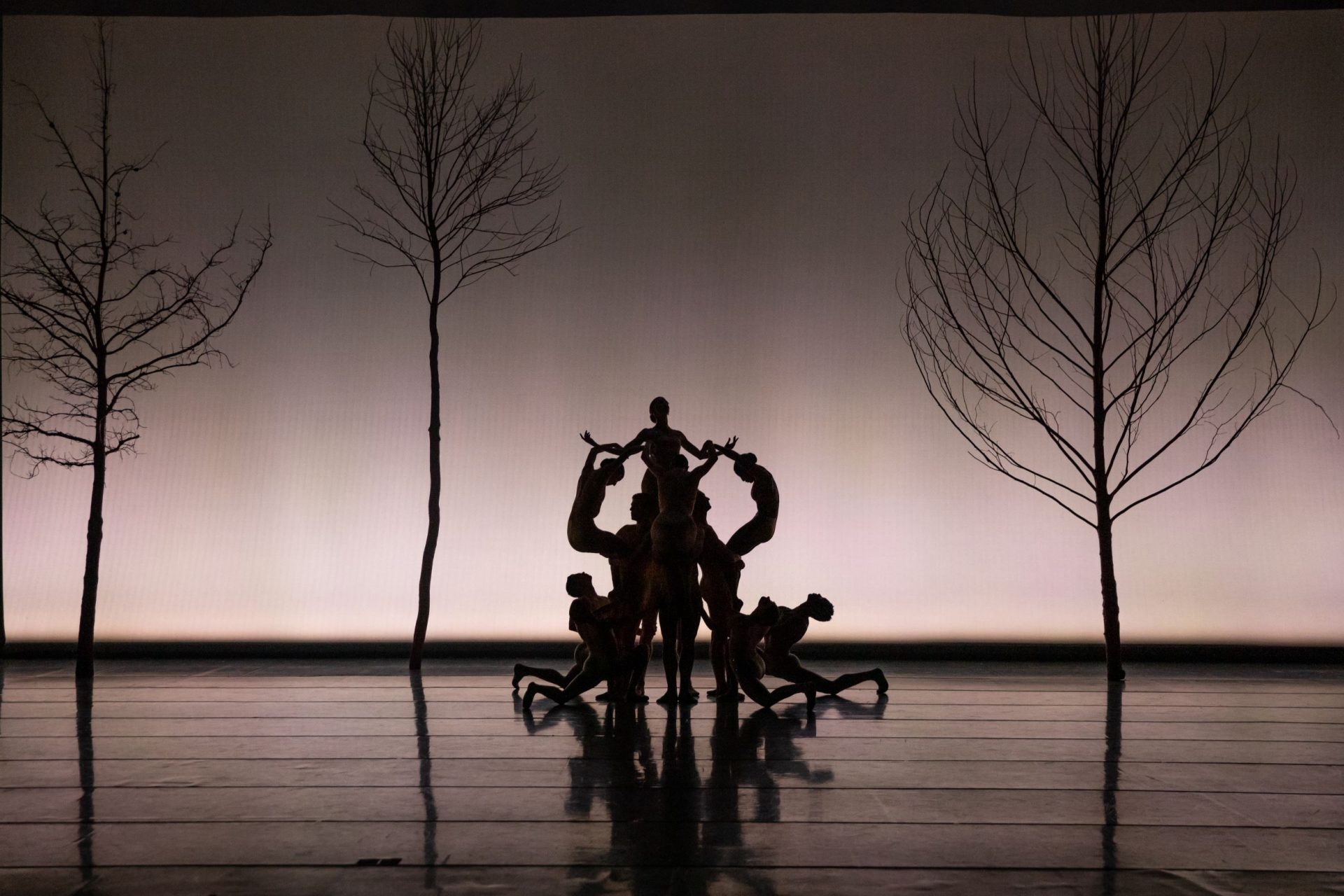 Company Dancers dancing in Edwaard Liang's Seasons